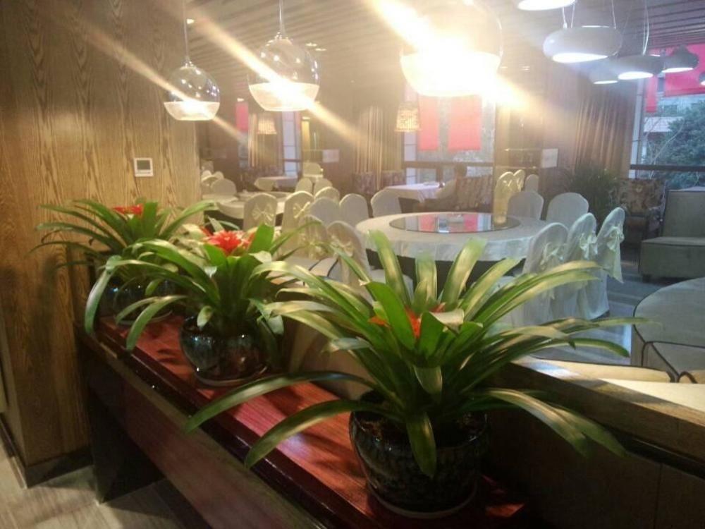 Chengdu Hello Hotel Shuangliu Ngoại thất bức ảnh